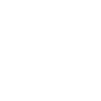 Best Practices Icon