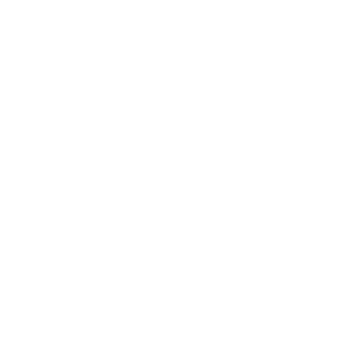 Icon of globe
